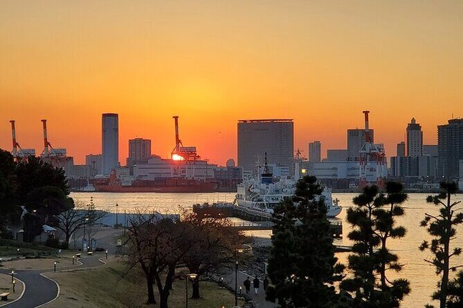 Private Tokyo Night Tour - FAQ