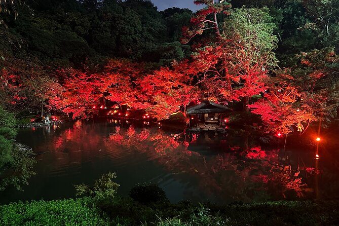 Private Tokyo Night Tour - A Closer Look at the Private Tokyo Night Tour