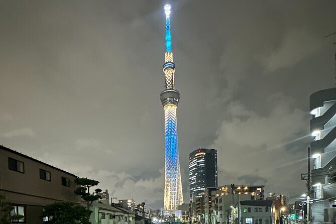 Private Tokyo Night Tour - Final Thoughts