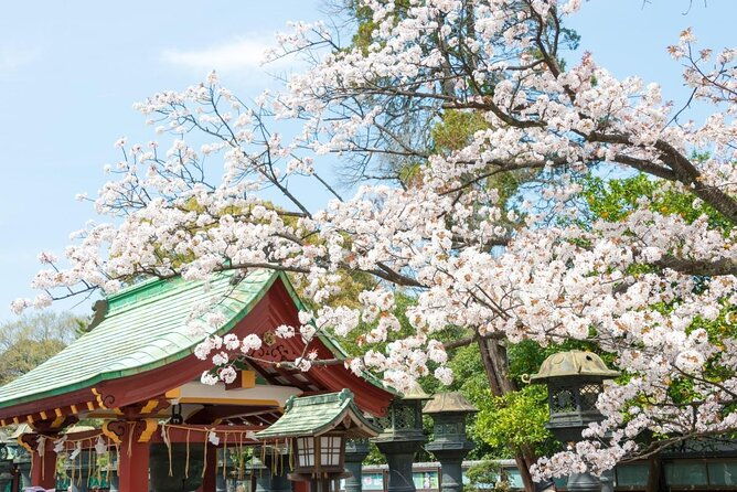 private-tokyo-tour-build-your-own-itinerary-with-a-local-matched-to-you