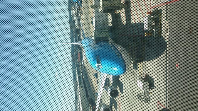 Private Tokyo Tour guide Japanese disco, clubs. Dancing any where translate. - FAQ