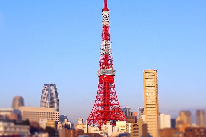 private-tokyo-tour-up-to-9-travelers