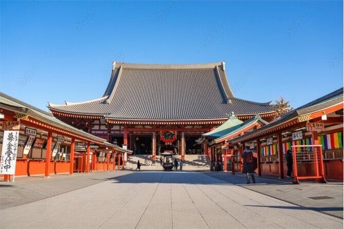 Private Tokyo Tour with English Speaking Driver - Key Points