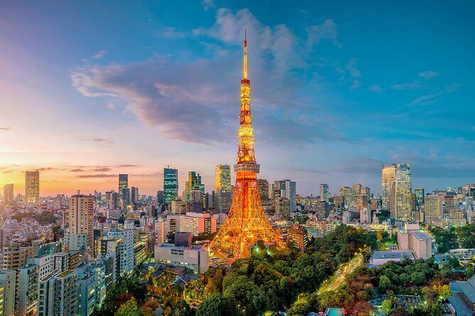 Private Tokyo Tour with English Speaking Guide - FAQ