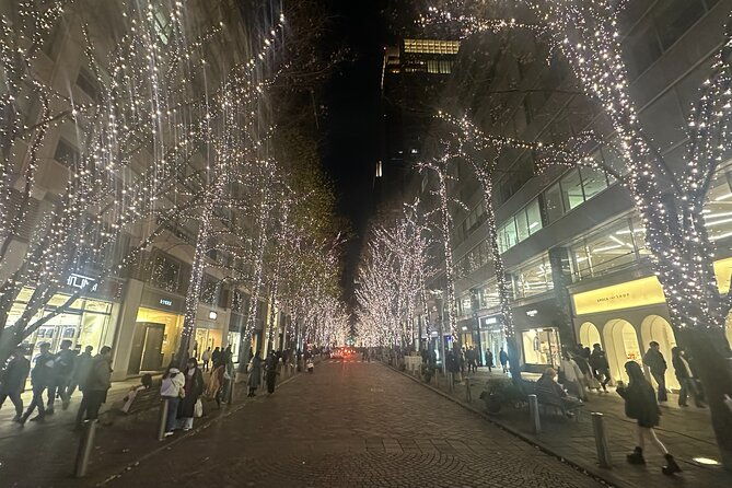 private-tokyo-tour-with-japanese-local-guide