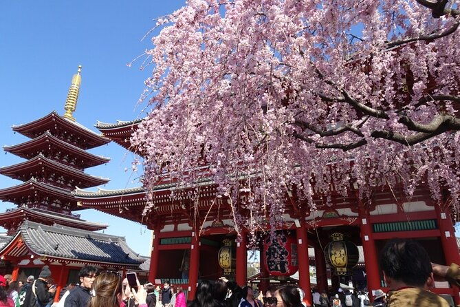 private-tokyo-with-exceptional-guide-tailored-to-your-needs