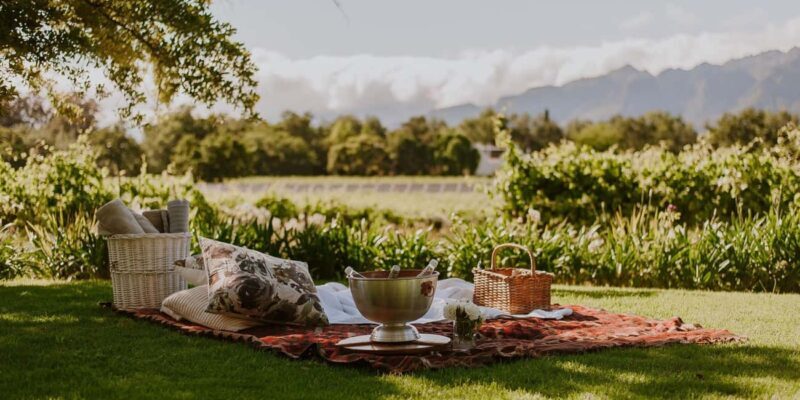 Private Top Award-Winning Cape Wine Tasting Full Day Tour - Key Points