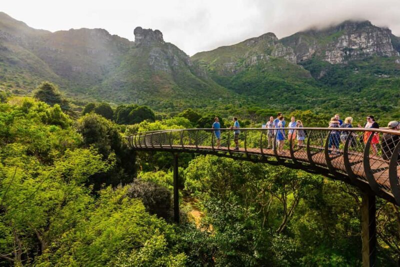 Private Top Award-Winning Cape Wine Tasting Full Day Tour - What’s Included and What Costs Extra?