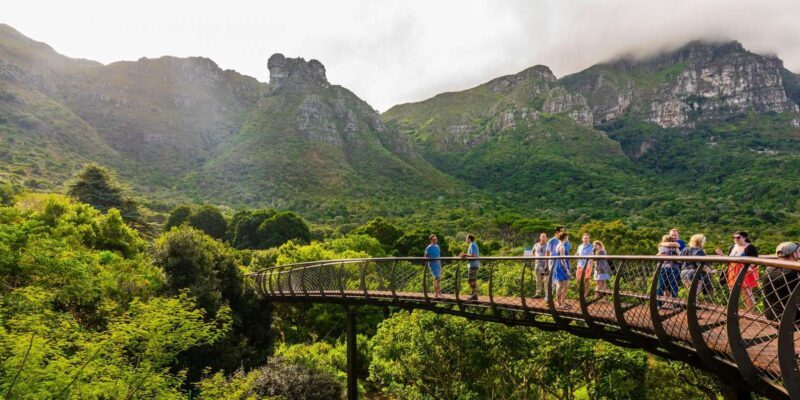 Private Top Award-Winning Cape Wine Tasting Full Day Tour - How the Day Unfolds