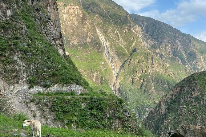 private-tour-3-days-in-the-colca-canyon-with-andean-ceremony