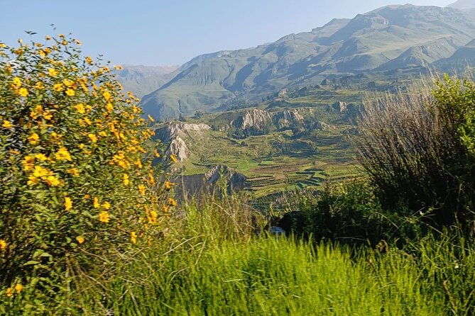 private-tour-3-days-in-the-colca-canyon-with-andean-ceremony