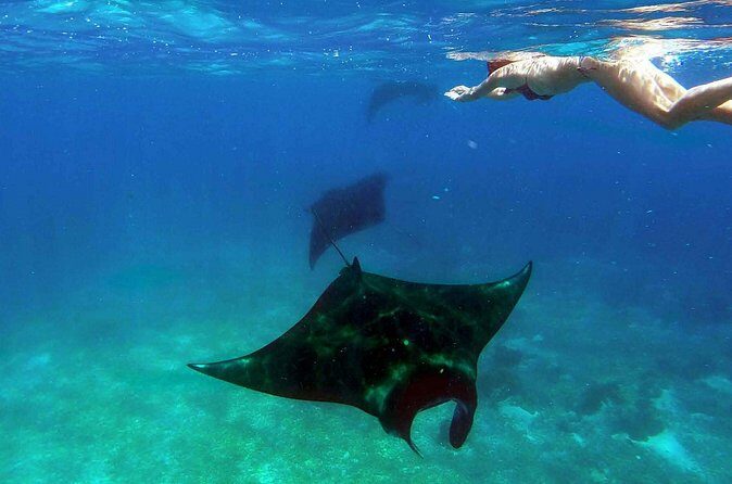 Private tour 4 days 3 nights Komodo on boat, waterfall and Rangko cave - The Sum Up