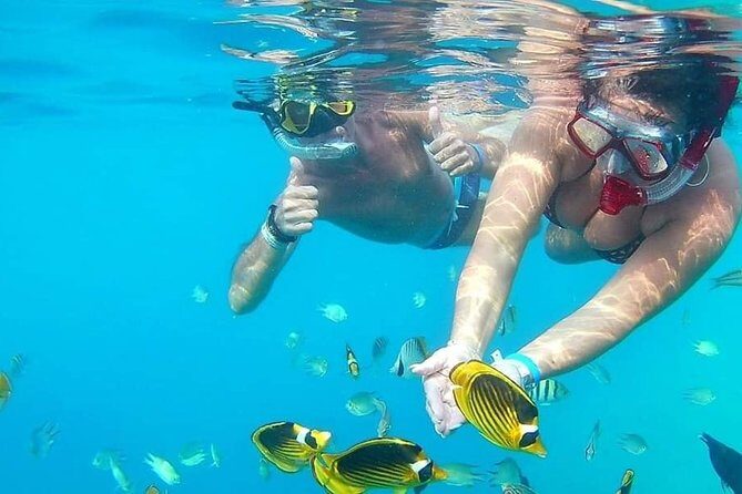 PRIVATE TOUR ! 4-Hours Swiming with dolphins, snorkeling, island by speed boat - Final Thoughts: Who Should Consider This Tour?
