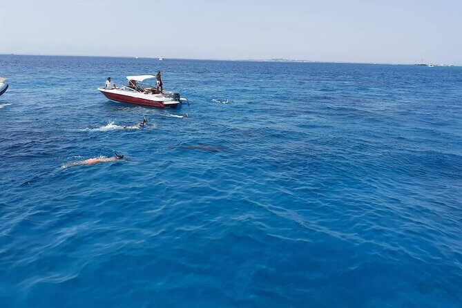 PRIVATE TOUR ! 4-Hours Swiming with dolphins, snorkeling, island by speed boat - FAQ
