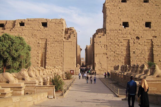 Private Tour: 8 Days 7 Nights Great Pyramids & Nile Cruise by Train from Cairo - Final Thoughts