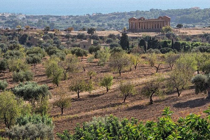 private-tour-agrigento-valley-of-the-temples-park-and-scala-dei-turchi-2