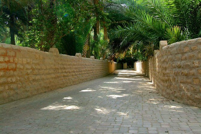 Private Tour : Al Ain City Sightseeing with Lunch from Dubai - Considerations and Tips