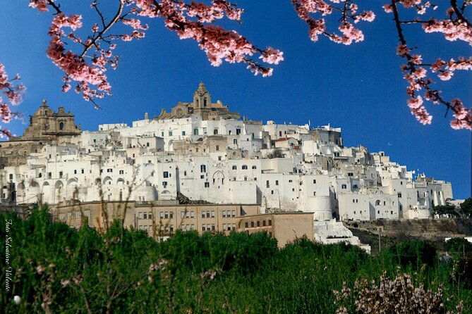 private-tour-alberobello-locorotondo-with-wine-tasting