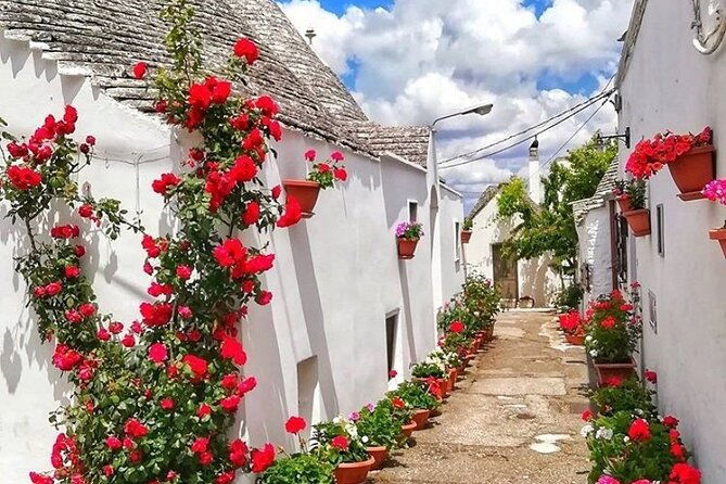 private-tour-alberobello-locorotondo-with-wine-tasting