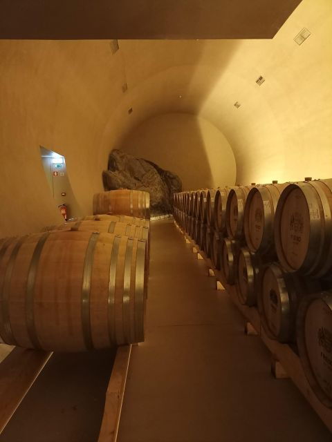 private-tour-alentejo-evora-winetasting-and-monsaraz