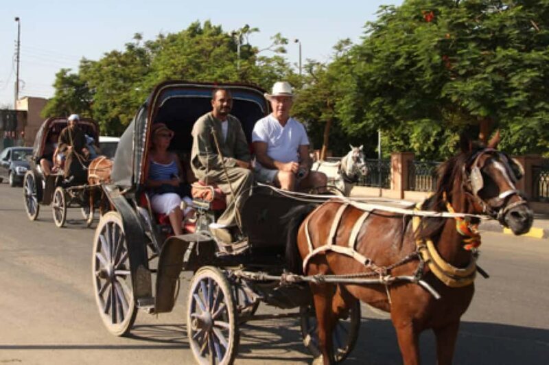 Private Tour Alexandria By Night By Horse Carriage ride - Key Points