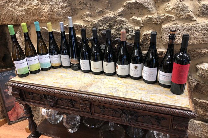 private-tour-alvarinho-melgaco-and-moncao-includes-3-wine-tastings