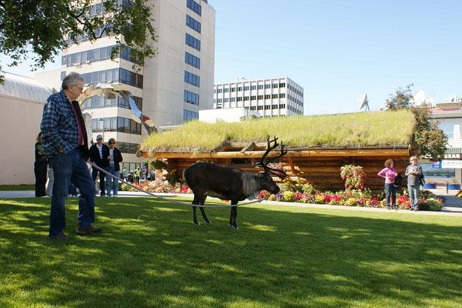 private-tour-anchorage-3-hour-tour