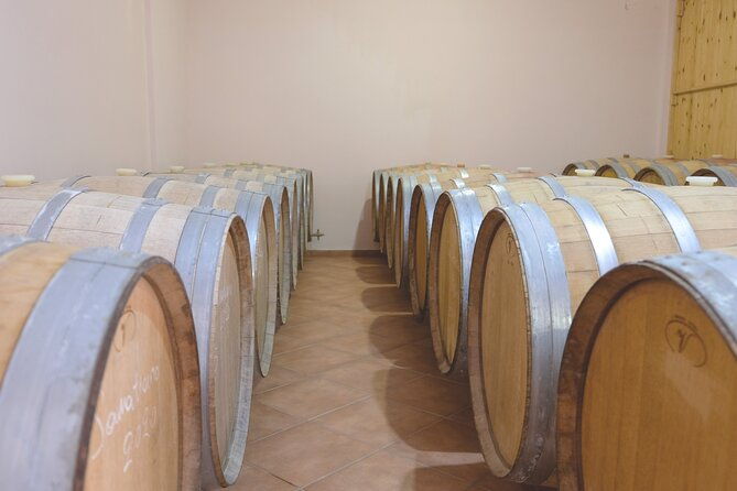 private-tour-and-tasting-at-zeginis-winery