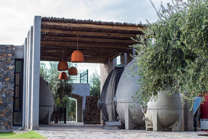 private-tour-and-tasting-the-enemy-with-lunch-santa-julia