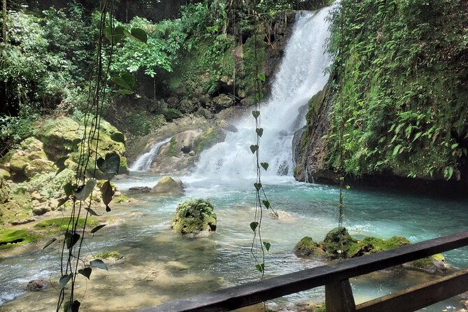 private-tour-appleton-estate-ys-falls-from-montego-bay