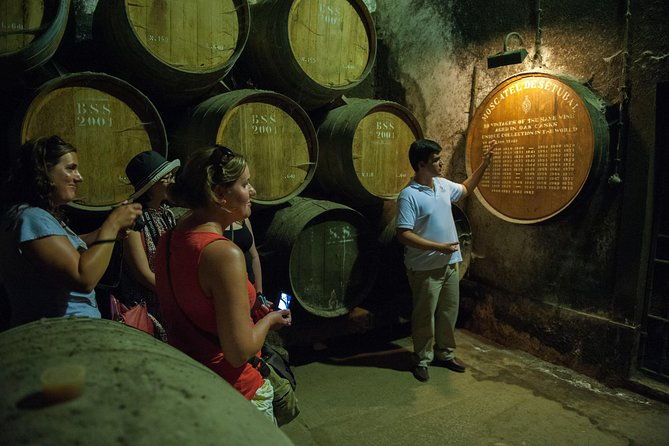 private-tour-arrabida-day-trip-from-lisbon-including-wine-tasting