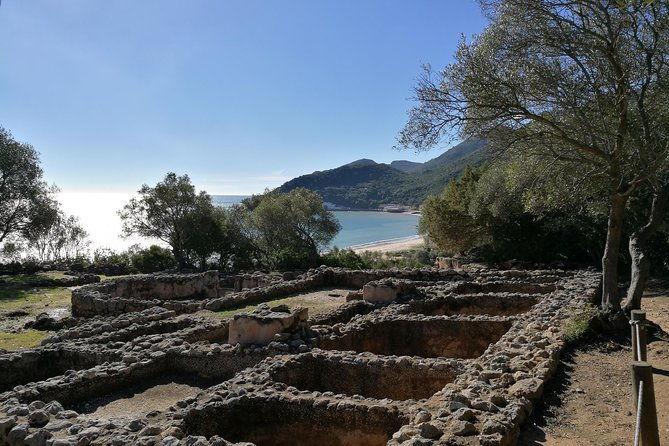 private-tour-arrabida-sesimbra