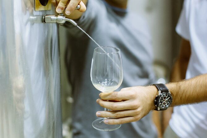 private-tour-at-a-family-winery-and-basque-coast-route