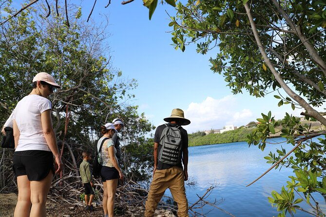 private-tour-at-spanish-lagoon-mangrove-bird-watching