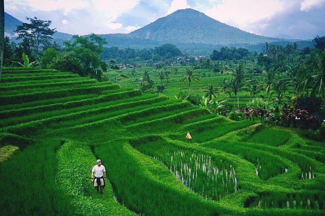 Private Tour - Bali UNESCO World Heritage Sites - What’s Included and What to Consider