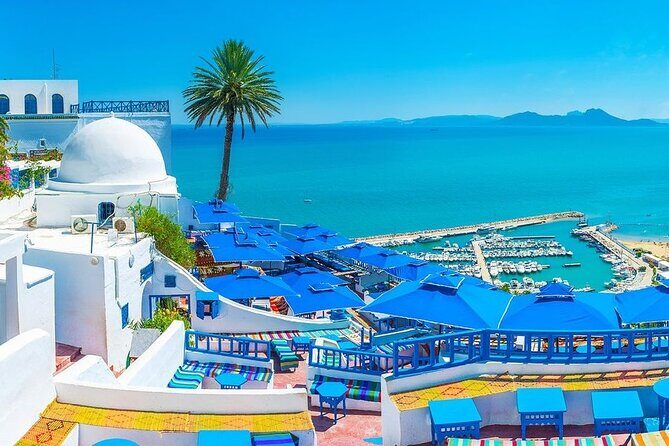 Private Tour Bardo Museum, Carthage, Sidi Bou Said and Medina - Introduction