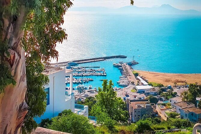 Private Tour Bardo Museum, Carthage, Sidi Bou Said and Medina - Religious and Historical Landmarks