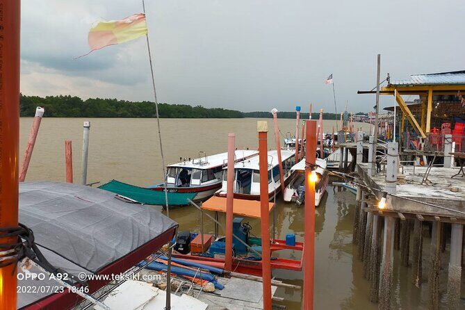 Private Tour Batu Caves,Wonderful Fireflies,Eagles and Silvered Leaf Monkey - Who Is This Tour Best Suited For?
