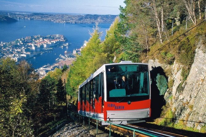 private-tour-bergen-city-sightseeing-5-hours-2
