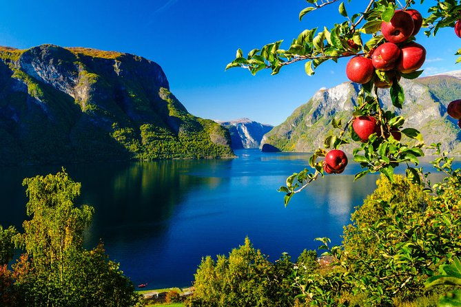 private-tour-bergen-to-oslo-naeroyfjord-cruise-flam-railway
