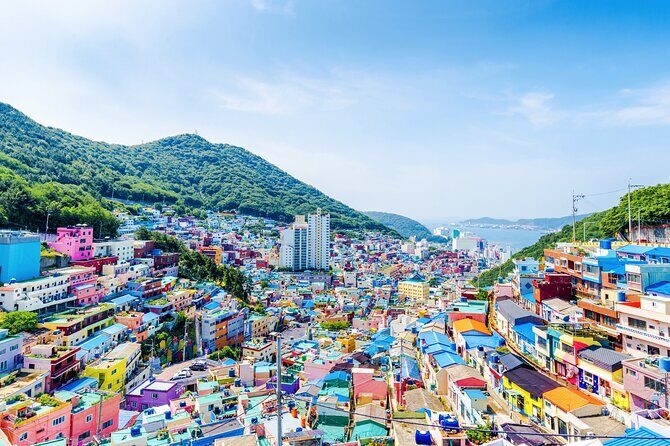 Private Tour Best of Busan Full Day - What We Think About the Value