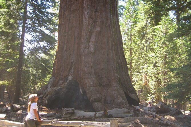 private-tour-best-of-the-west-11-day-national-parks-tour-with-lodging