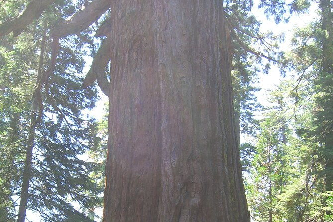 private-tour-best-of-the-west-11-day-national-parks-tour-with-lodging