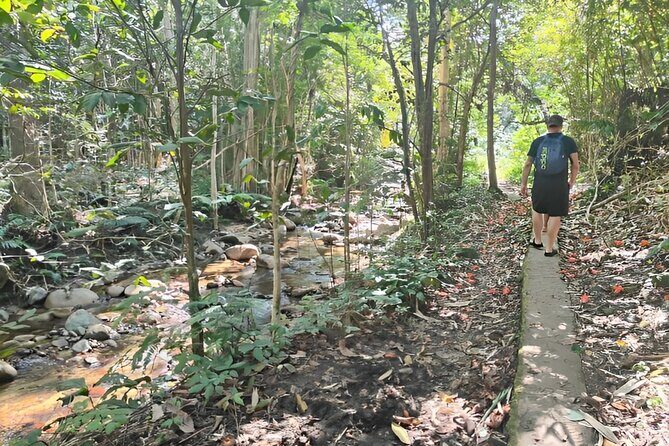 Private Tour Biausevu Waterfall and Fijian Village Experience - Final Thoughts: Who is This Tour Best For?