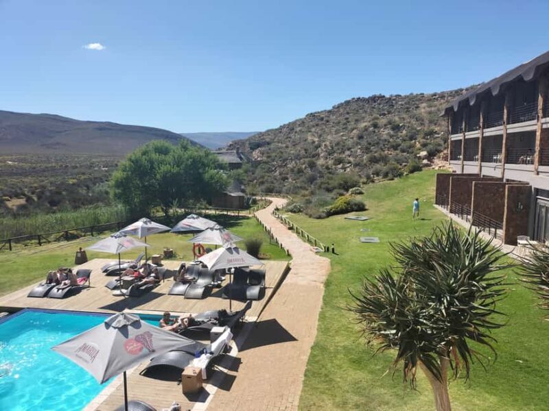 Private Tour: Big 5 Safari, Experience the wild animals - Introducing the Big 5 Safari Experience in South Africa