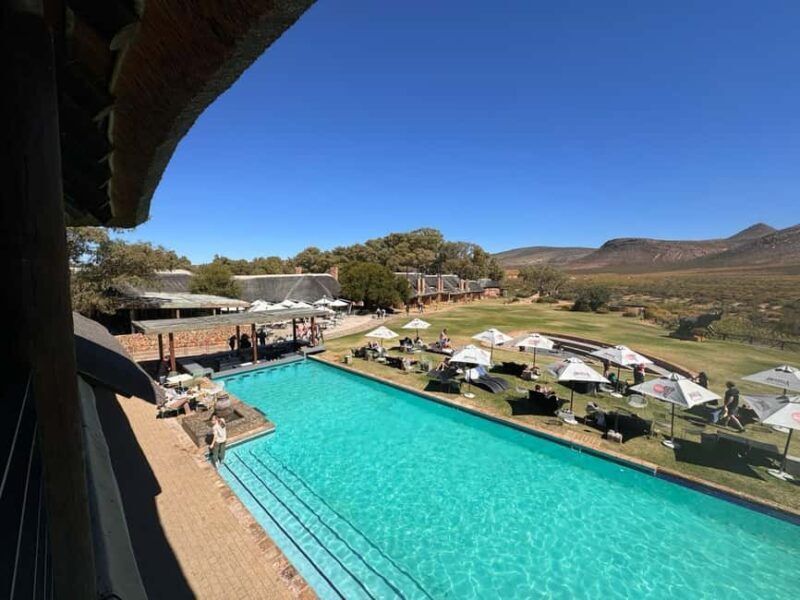 Private Tour: Big 5 Safari, Experience the wild animals - Final Thoughts