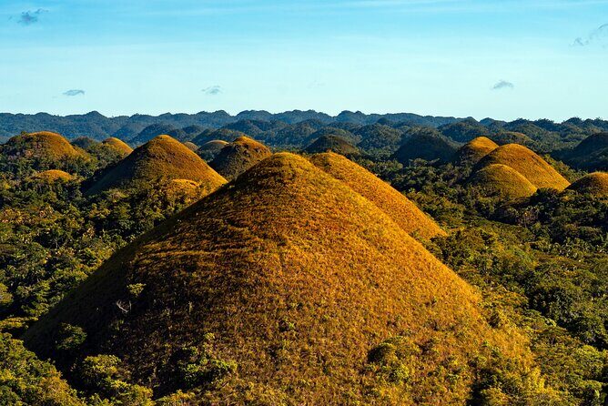 Private Tour Bohol Chocolate Hills Loboc River Cruise - Key Points
