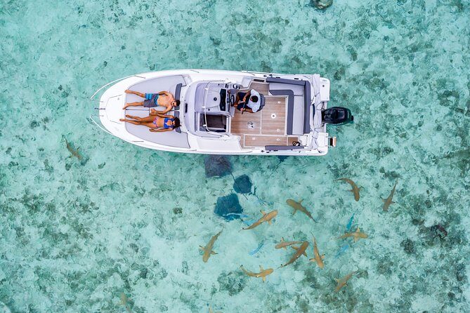 Private Tour: Bora Bora Lagoon Eco Snorkel Cruise - 3hrs or 6hrs - How Travelers Feel About the Tour