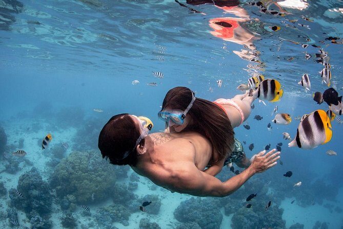 Private Tour: Bora Bora Lagoon Eco Snorkel Cruise - 3hrs or 6hrs - FAQ