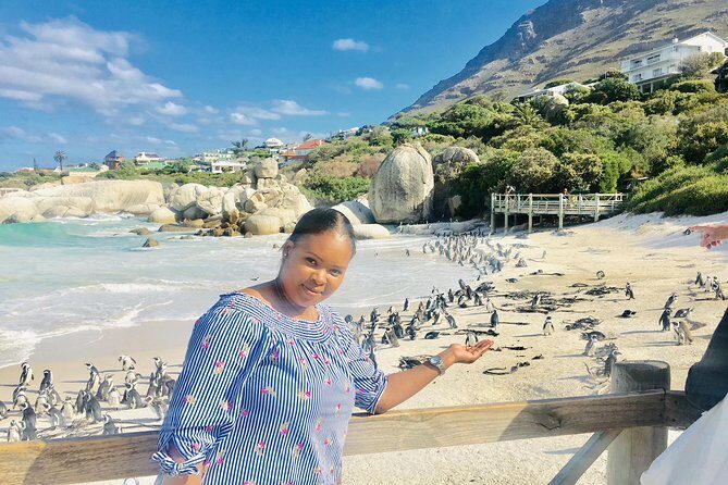 Private Tour: Boulders Beach Penguin Colony and Cape of Good Hope - A Closer Look at the Itinerary